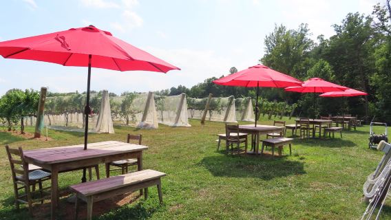 Hamlet Vineyards