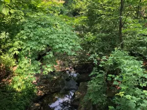 Otter Creek Preserve