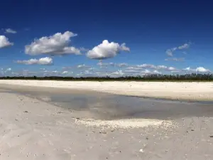Hemingway Water Shuttle
