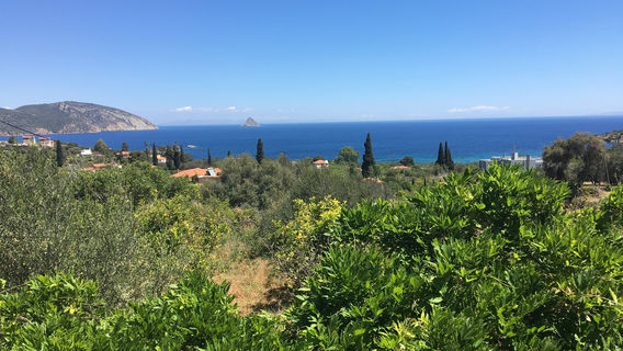 Poros