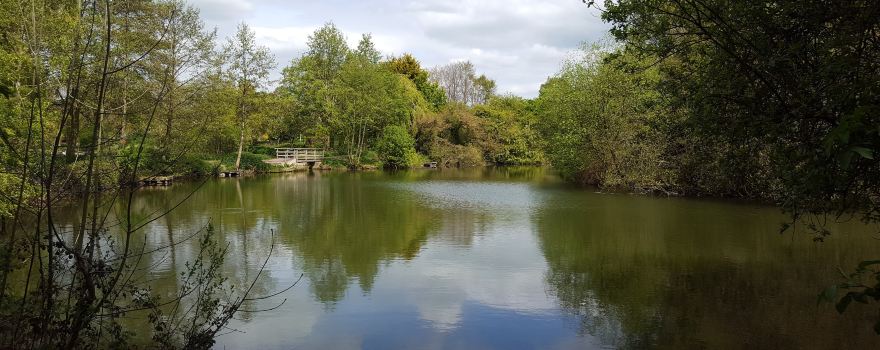 Charlton