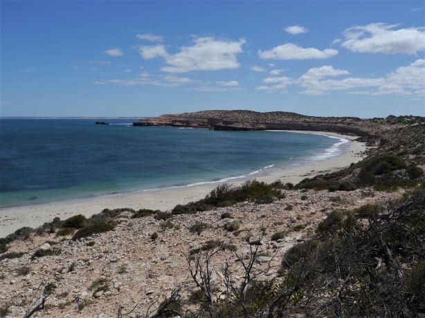 Streaky Bay Islands Caravan Park