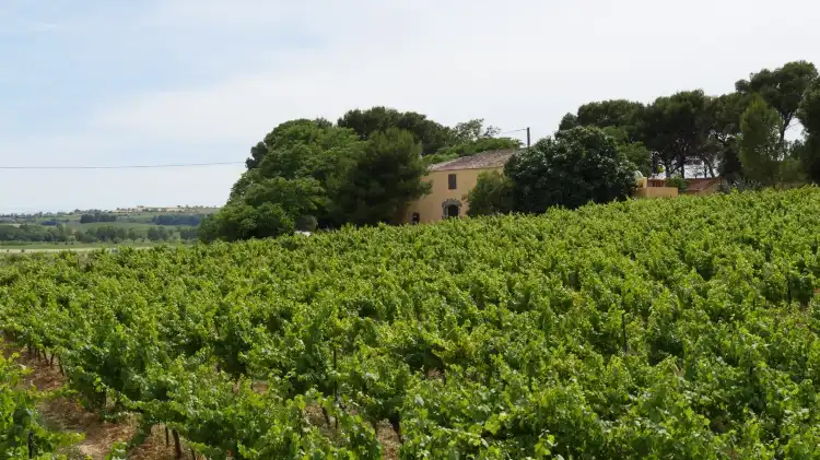 Hotels near Domaine de Mairan