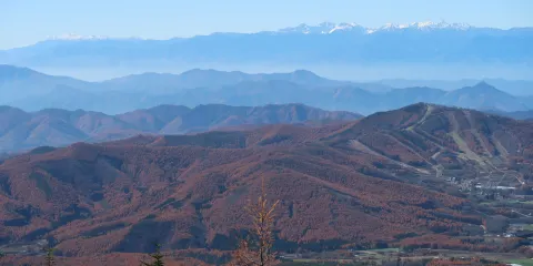 四阿山