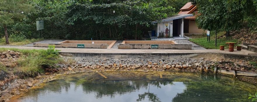Saline Hot Springs