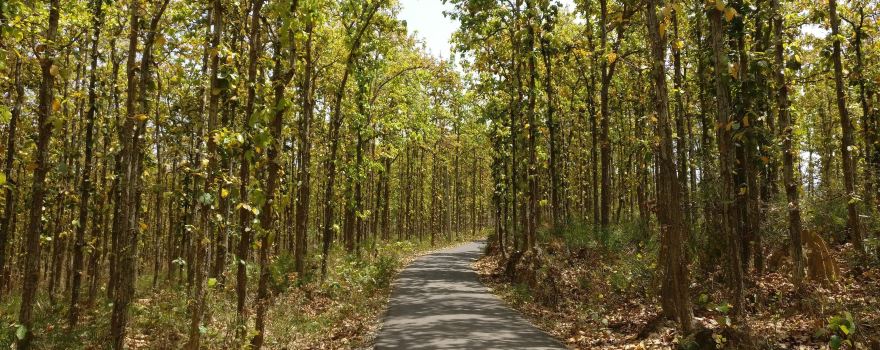 Surkhet