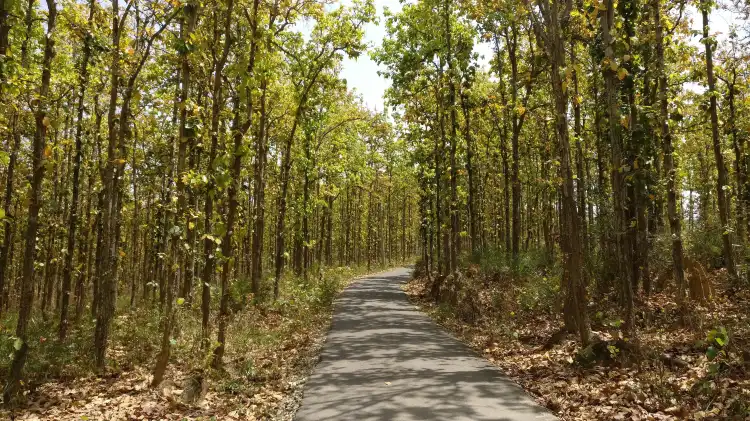 Hotels near Kankrebihar Surkhet