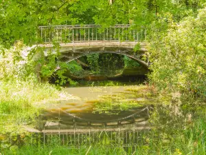 Park Zamkowy W Mosznej