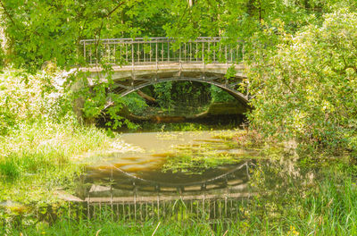 Park Zamkowy W Mosznej