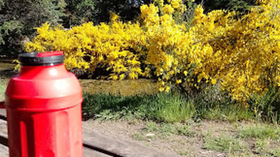 Vivero Municipal