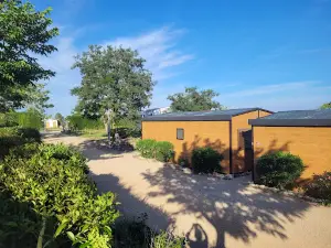 Ecocamping Borja
