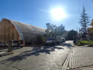 Halı Saha