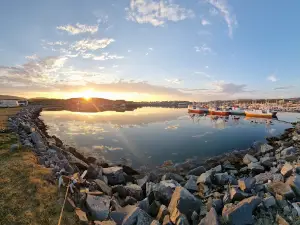 Nordic Safari Wildlife Adventures AS