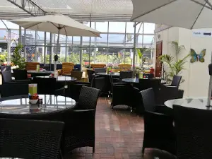 Hilltop Garden Centre