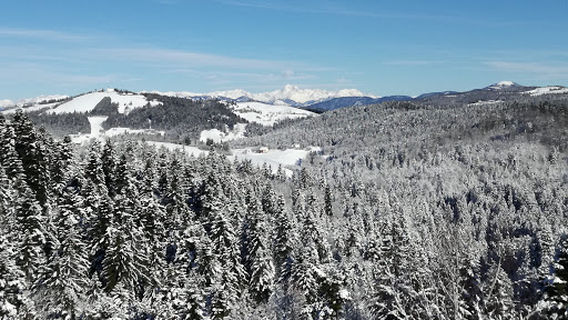 Gradiše