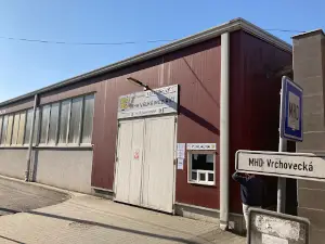 Winter stadium