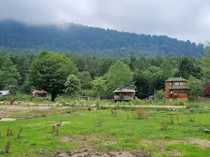 Gümeli Tabiat Anıtı
