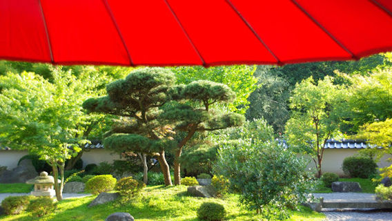 Japanese Garden Bielefeld
