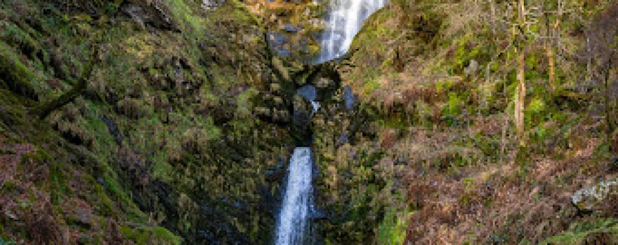 Cadair Berwyn