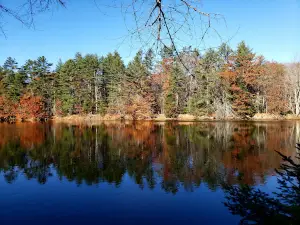 Jagolinzer Preserve