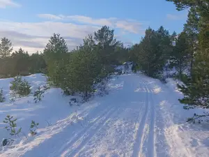 Blåskogstien