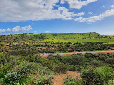 Separation Point Lookout