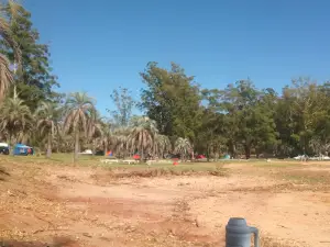 Parque