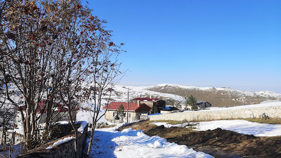 Trebisonda