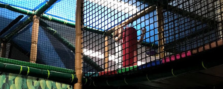 Safari Playground