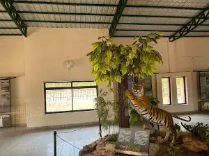 Sanjay Tiger Reserve Chauki