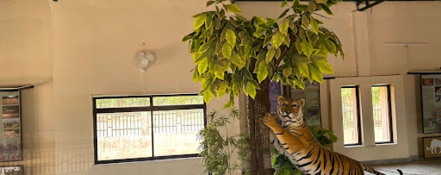 Sanjay Tiger Reserve Chauki