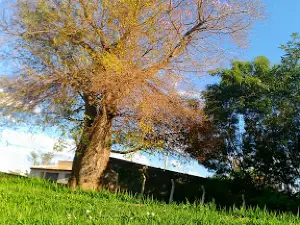 Parque do Dona Gercina