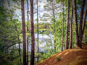 Blue Hole Recreation Complex, Kisatchie National Forest