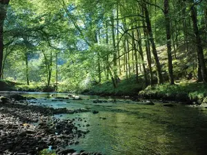 Au bois de Calais