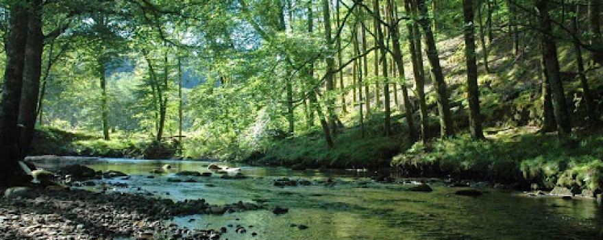 Au bois de Calais