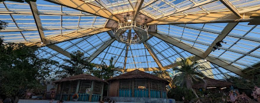 Tropical Cyclone in the Subtropical Swimming Paradise
