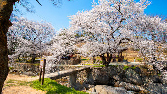 Yongwonjeong Pavilion