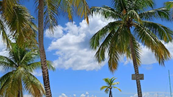 Bayahibe