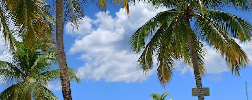 Bayahibe