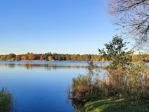 Fürstenberger forest and lake area