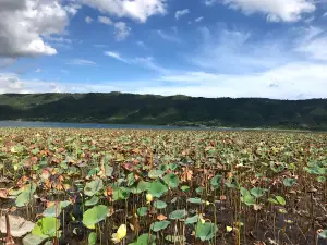 Etang de Miragoane