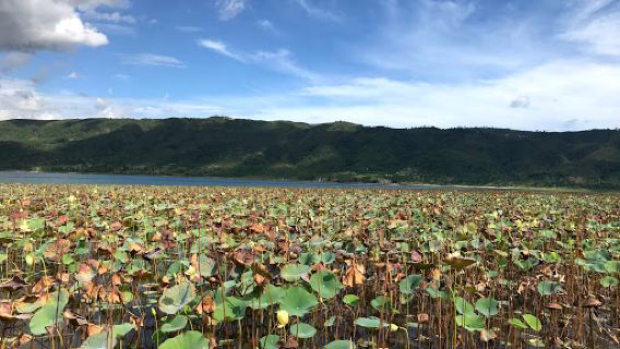 Etang de Miragoane