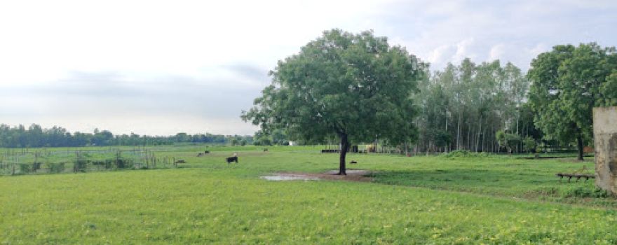 Akbarpur Cricket Ground