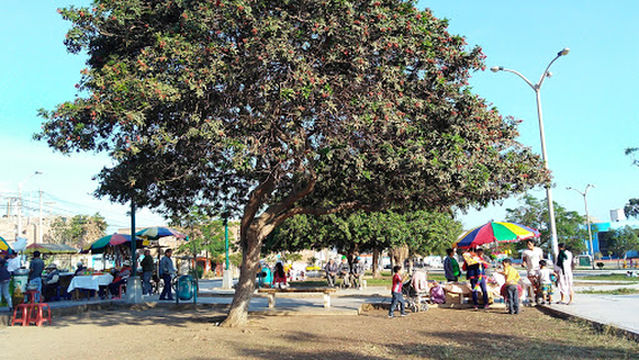 Plaza De Armas Florencia de mora