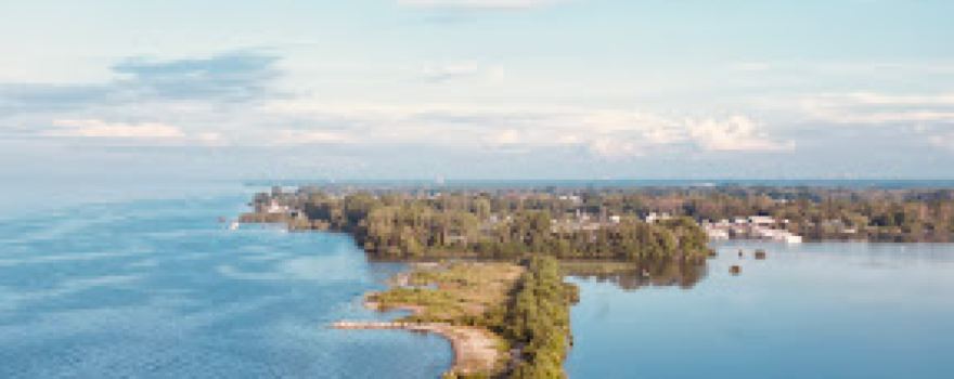 Braddock Bay Hawkwatch