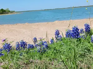 Tradinghouse Creek Reservoir