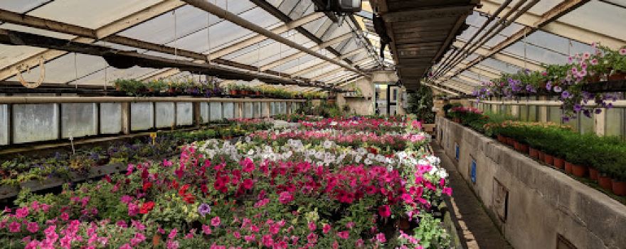 Vesna Garden Center
