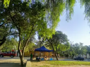 Juan W Gez Plaza