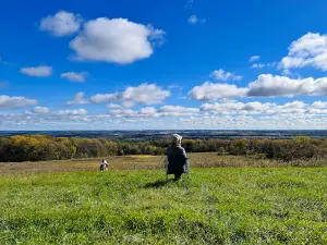 Brigham County Park