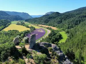 Marais des Bouligons